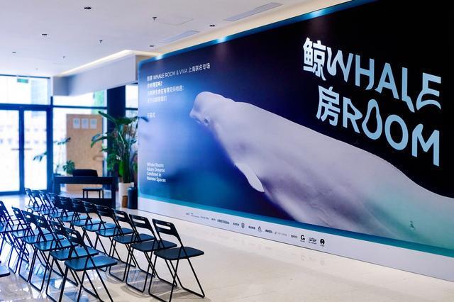 白鲸主题公益艺术展引社会关注